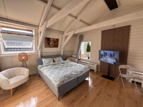 Stylisch Apartments Schanskerhof all with private kitchens - TV all Country - NEXT TO THERMEN BAD NIEUWESCHANS